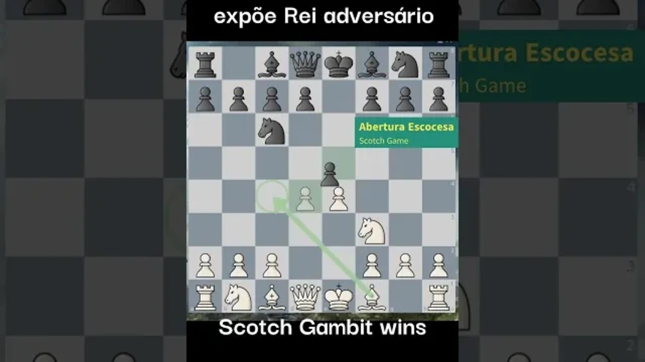 UAU GAMBITO ESCOCES FICA EM VANTAGEM VENCEDORA