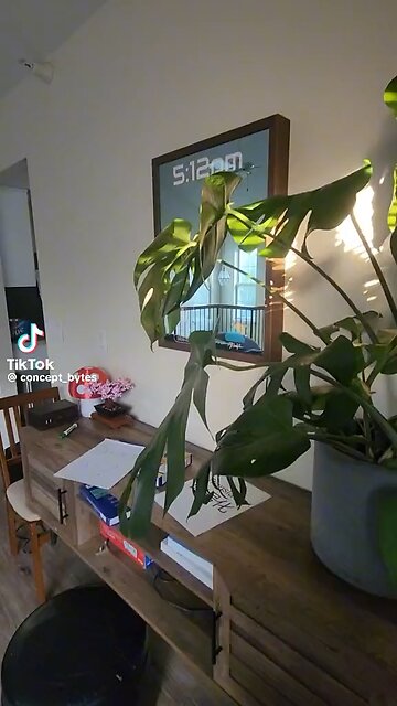 This Guy Invented A Mirror With ChatGPT