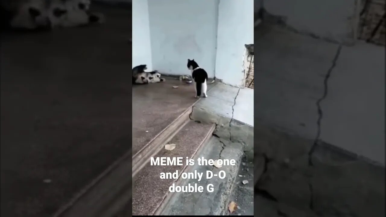 MEME is the one and only D-O double G #shorts #trending #prank
