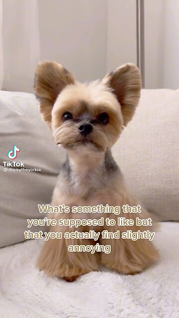 A good laugh for Friday