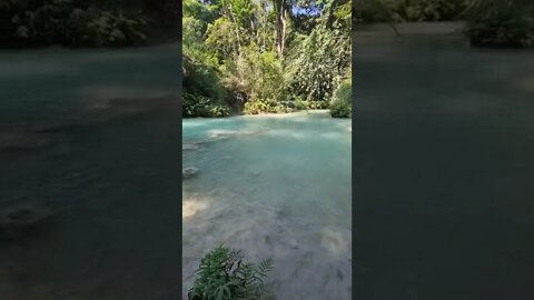 Kuang Si Waterfall Luang Prabang Laos 🇱🇦 #laos #Waterfall #shorts #luangprabang