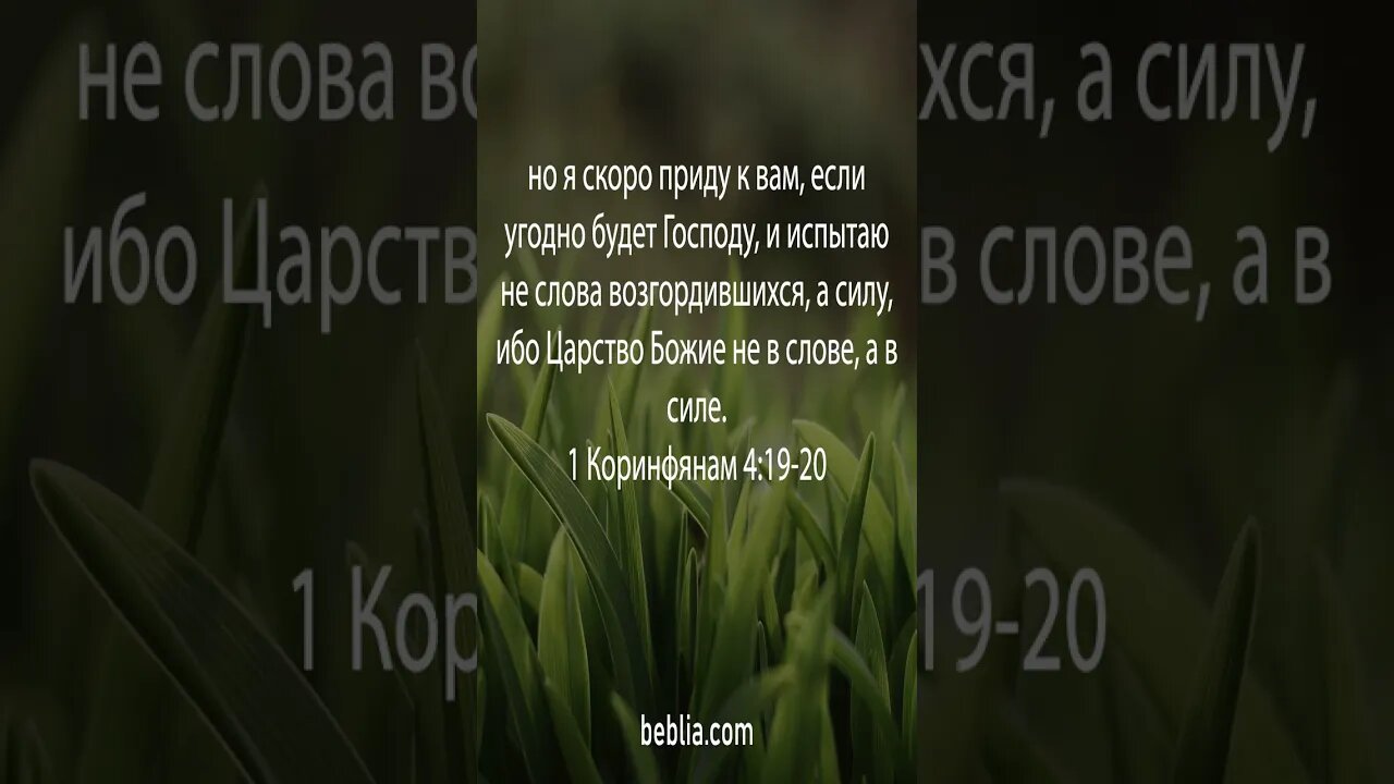 1 Коринфянам 4:19-20 - Священный Библейский Стихи #Библия #Бог #Иисус #церковь [SH]