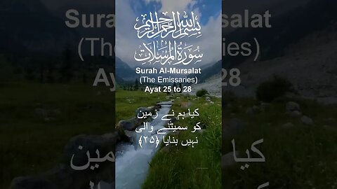 Surah Al Mursalat in Urdu Translation Ayat25to28 #youtube#youtubeshorts#ytshorts#viral#shorts#short