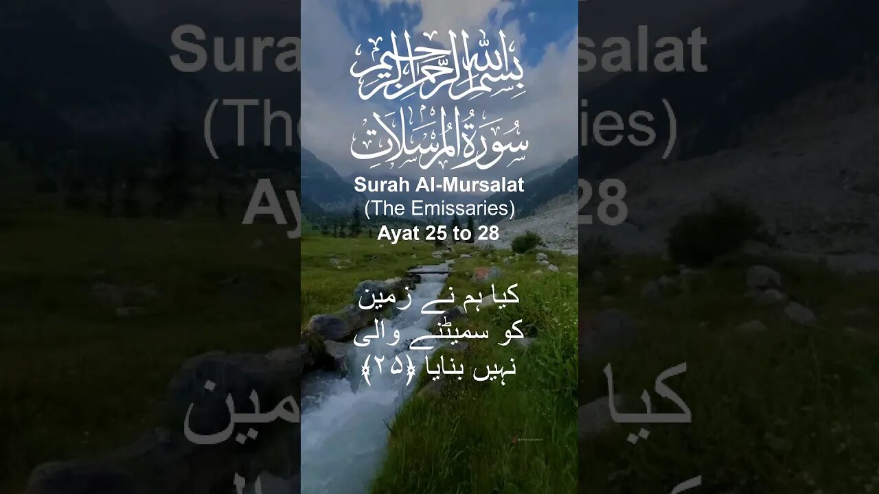 Surah Al Mursalat in Urdu Translation Ayat25to28 #youtube#youtubeshorts#ytshorts#viral#shorts#short