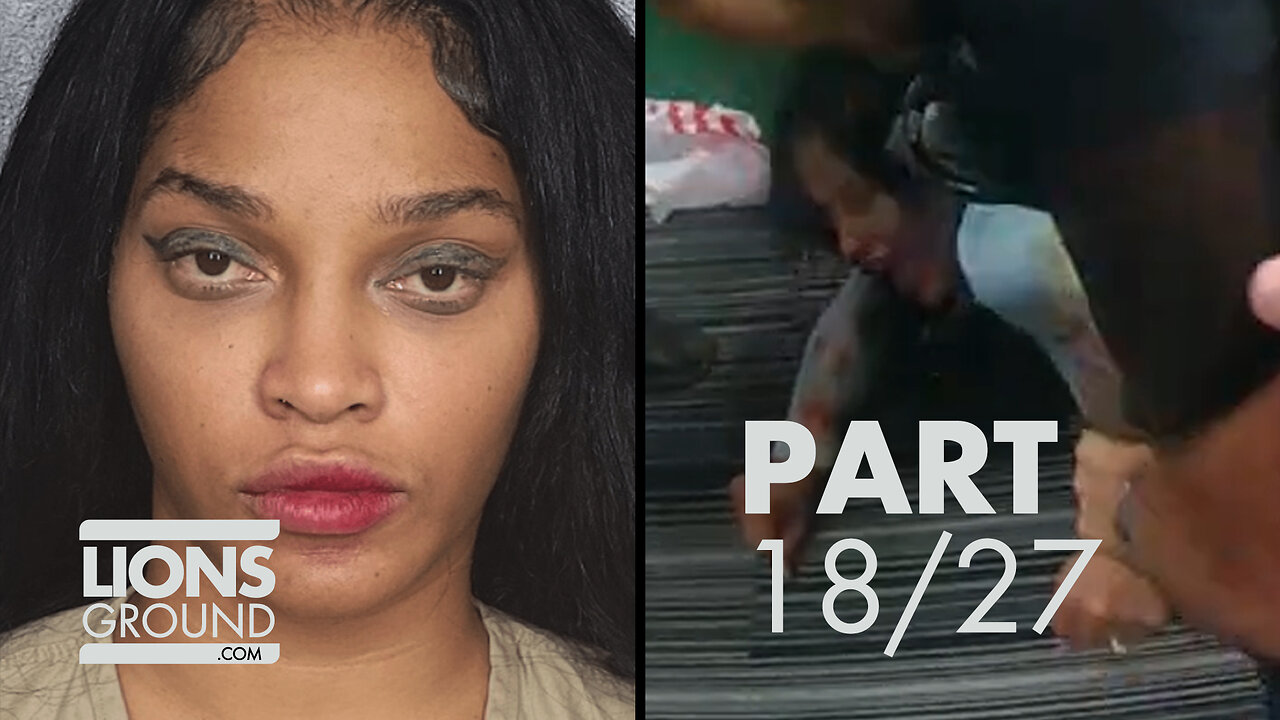 Joseline Hernandez Arrest: Bodycam Video Part 18/27 (Raw New Videos)