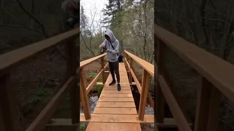 Taking pictures on a bridge