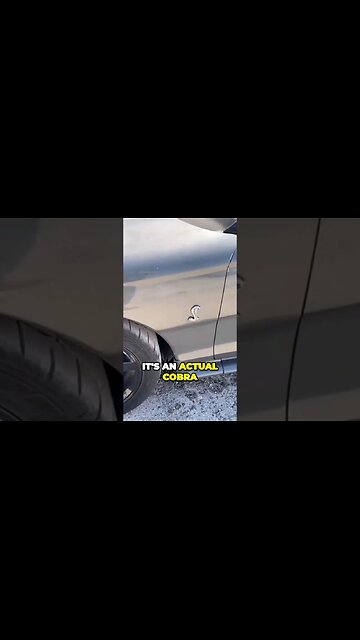 1996 Cobra For $50 At Auction!