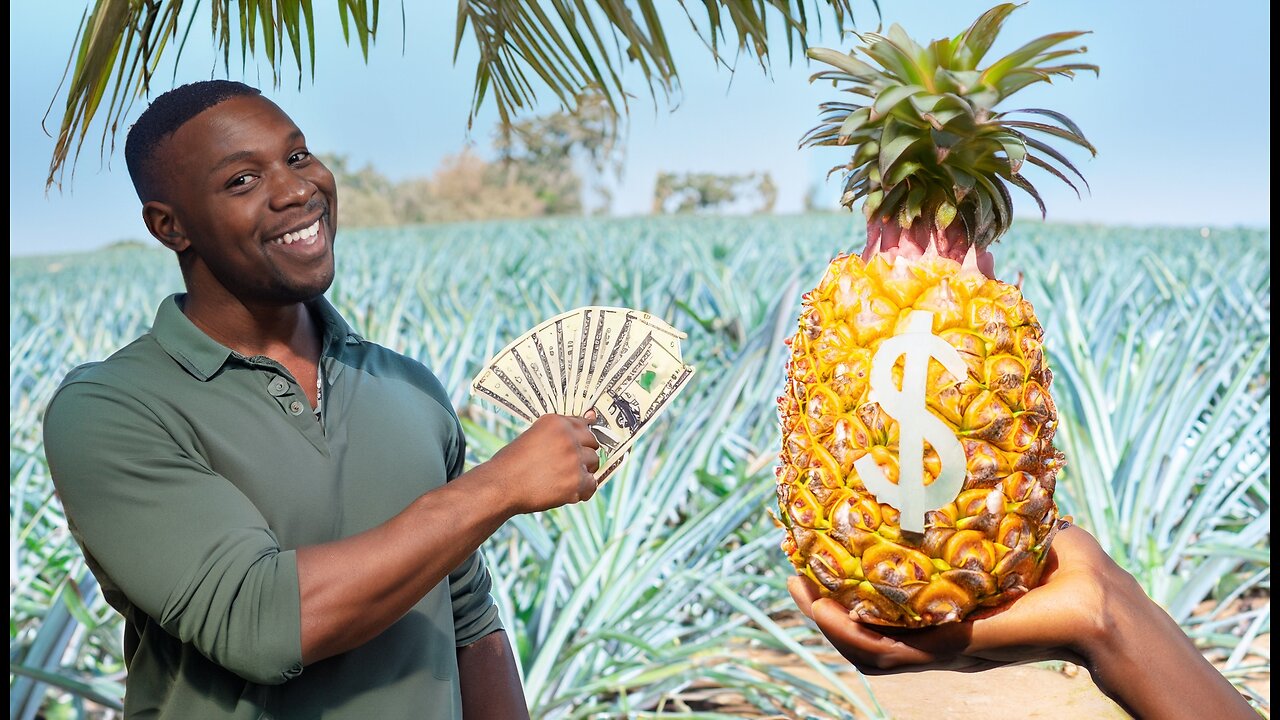 🍍🌟 Unveiling the Million Dollar Pineapple Farming & Harvesting Tech 🌱🚜 From Seed to Juice 💰🚜🍹