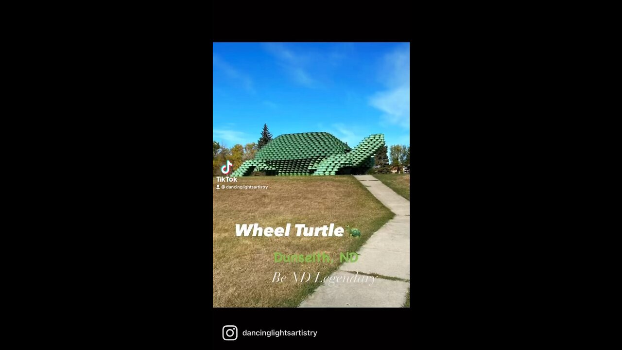 Wheel Turtle🐢