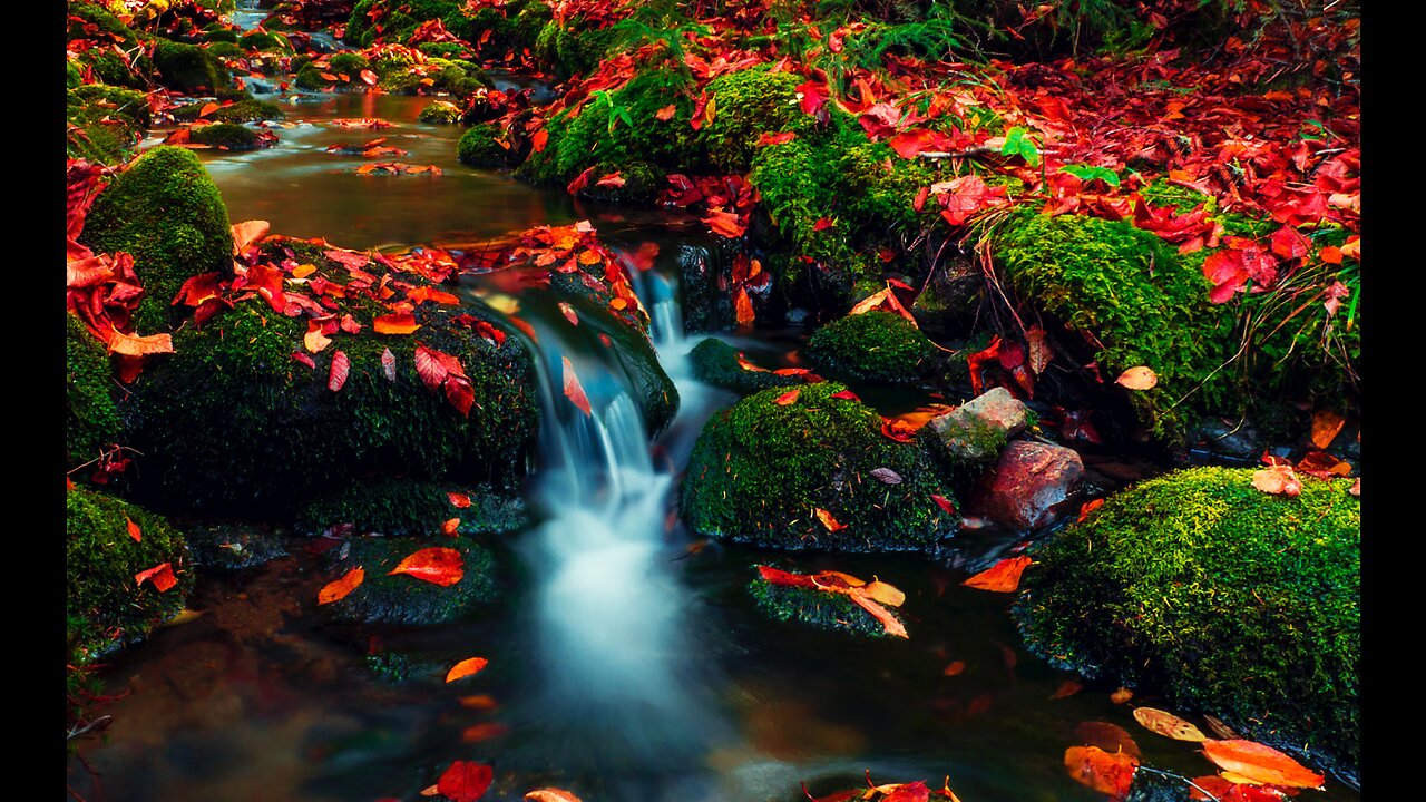 relaxing zen music | meditation | mindfulness & sleep | beautiful music| relaxing music | music |