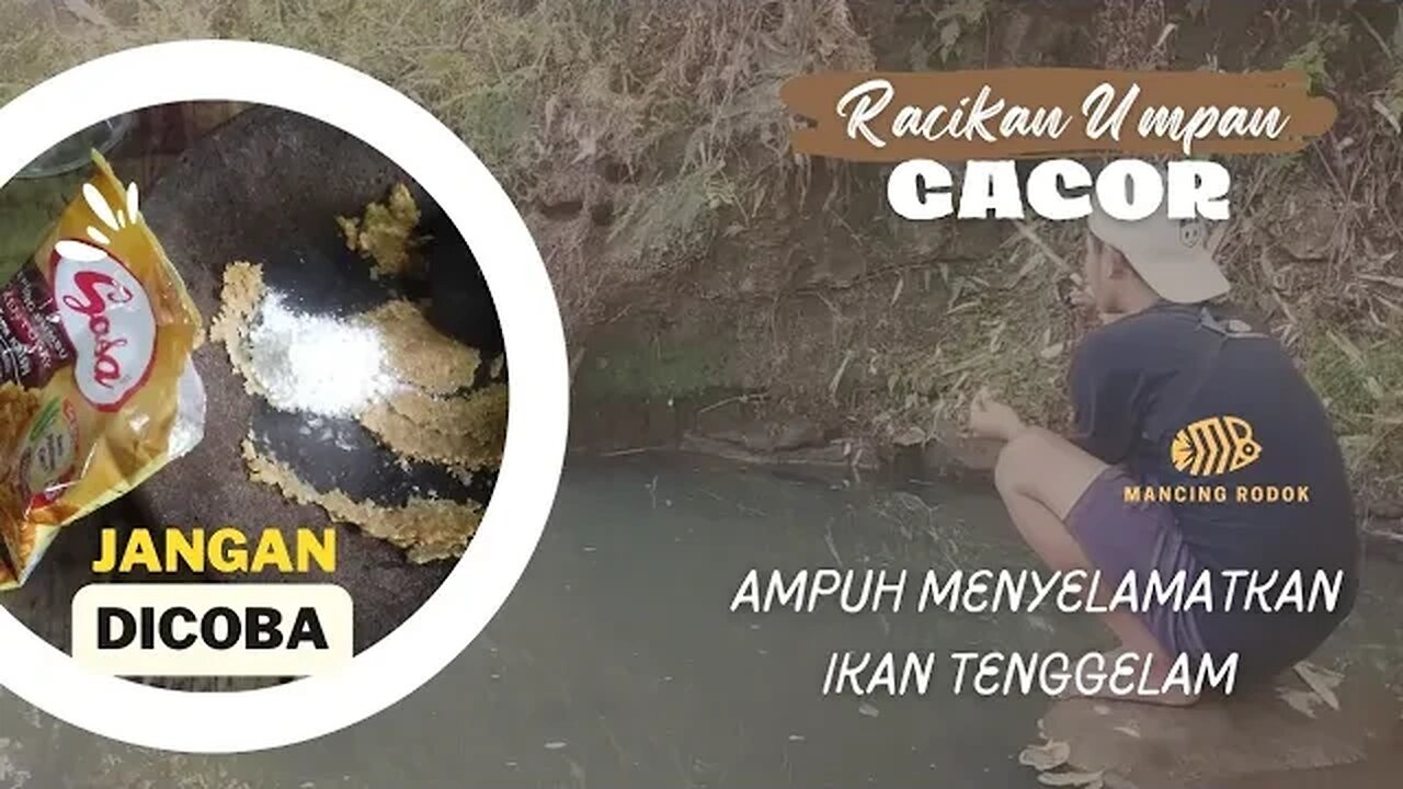 JANGAN DICOBA !! Umpan Racikan ini Terlalu AMPUH menyelamatkan ikan tenggelam - MANCING RODOK