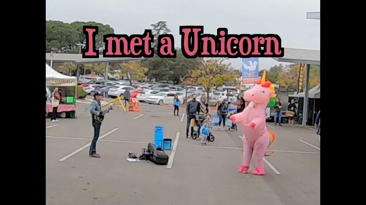 I Met A Unicorn! - Busker Life