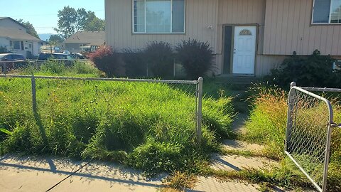 Man Recovering From Sickness Gets A FREE Yard Makeover