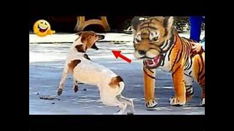 Fake Tiger Prank To dog
