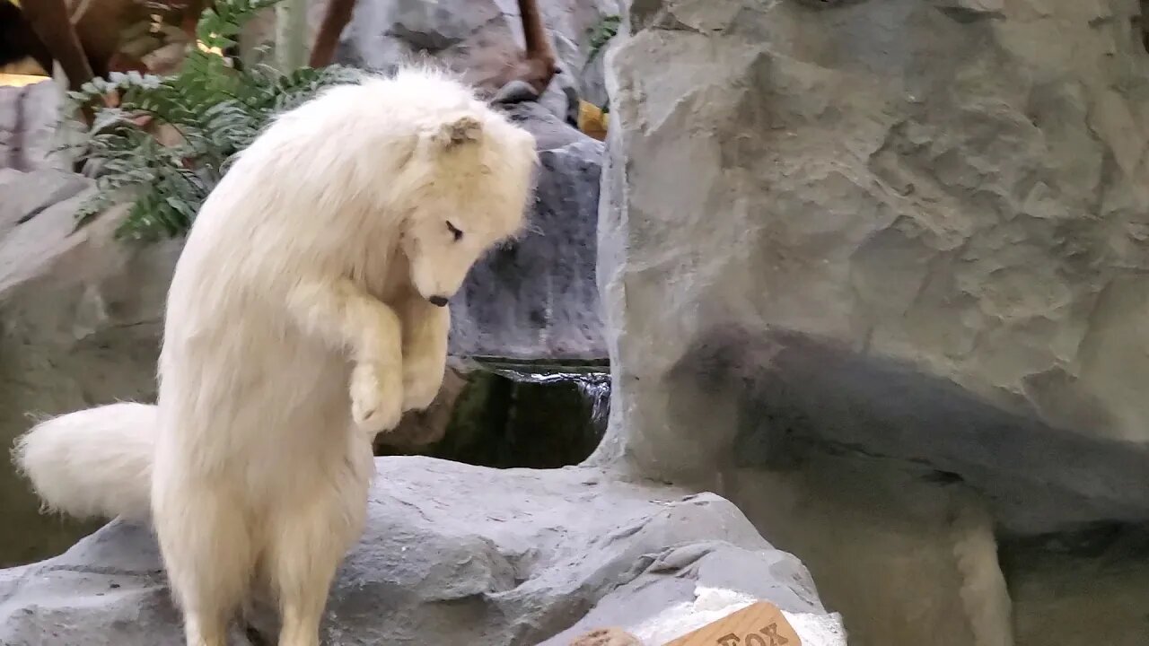 CABELA'S GONZALES LOUISIANA