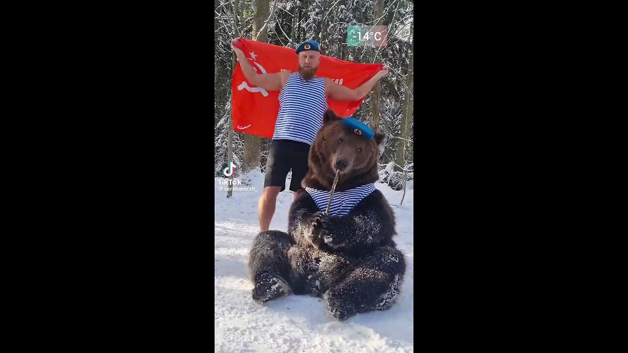 Ian Miles Cheong Who doesn’t want a pet bear?