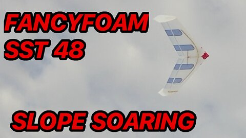 RC Glider SST 48 from Fancy Foams.