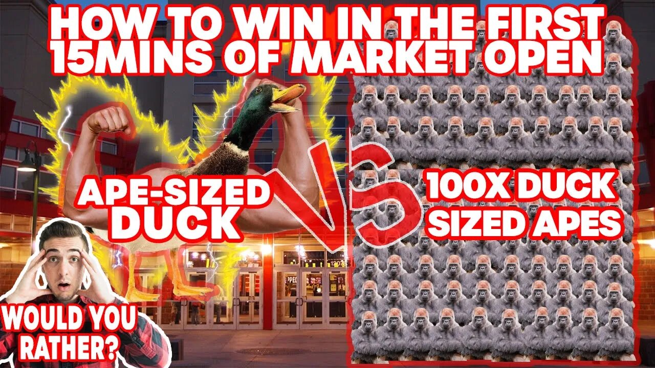 🔴 AMC STOCK || Matt Kohrs on his WINNING market open strategy 🤑🔥🚀 || Ape Nation Community College 🏫✔