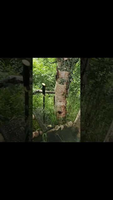 Before We Had The Outhouse, We Had This