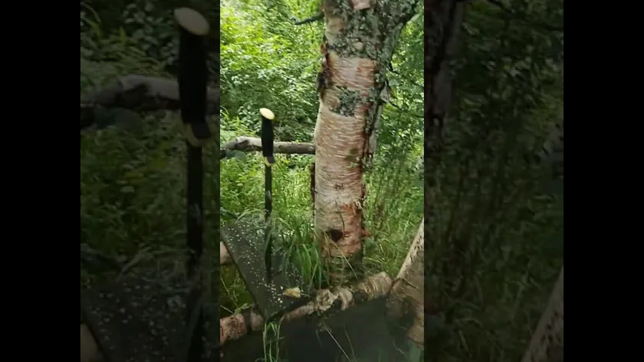 Before We Had The Outhouse, We Had This