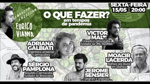 Pandemia, Depressão Econômica e Transição