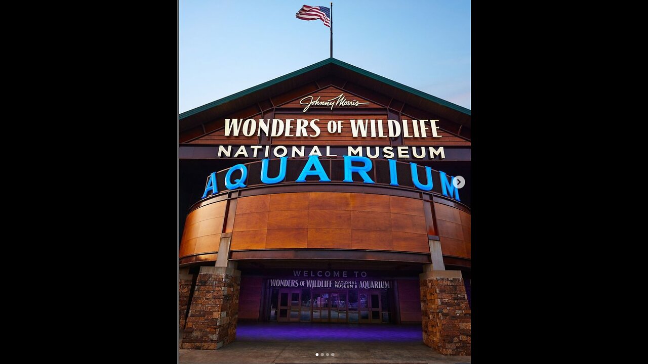 Wonders of Wildlife Museum & Aquarium