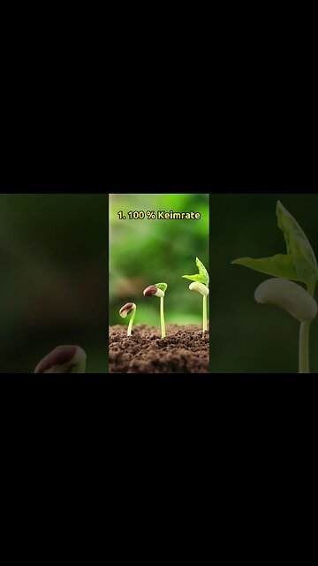 Welche Superkraft im Garten würdest su wählen? #shorts