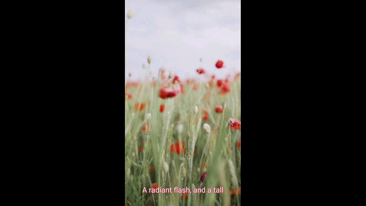 Time Travel