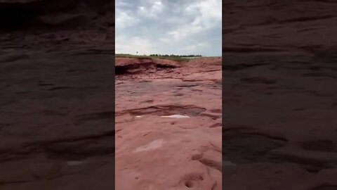 Hanging by the water on cliffs