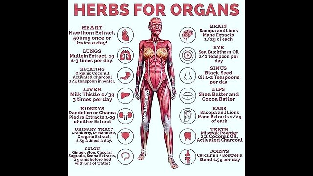 Castor Oil, Defunding Natural Health, Hemp and Hippocratic Oath