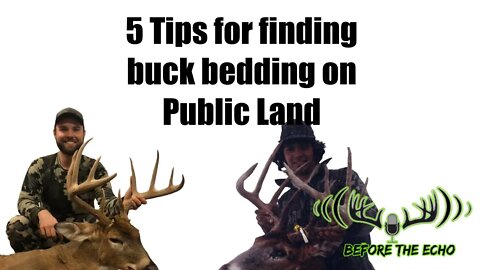 5 Tips on Finding Buck Beds on Public Land