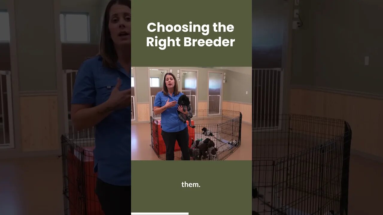 How To Choose The Right Breeder