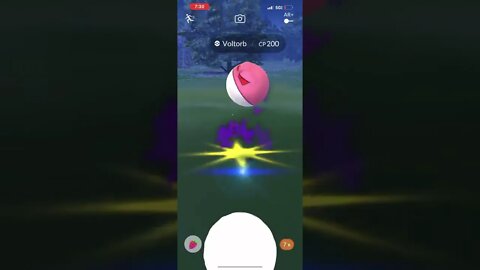 Catching a Voltorb in Pokémon Go!
