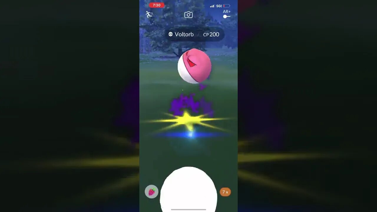 Catching a Voltorb in Pokémon Go!