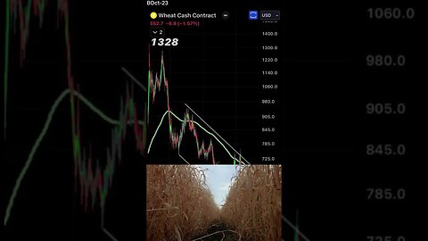 WHEAT: A Commodity Bargain October 08, 2023 #shorts