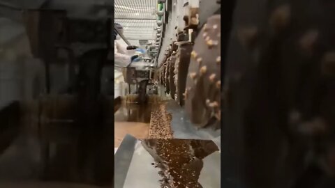 How ice cream bars are made