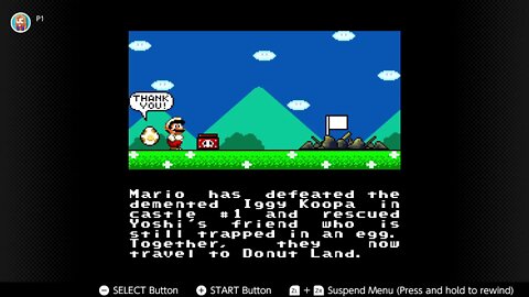 Mario Saves an Egg in Super Mario World!