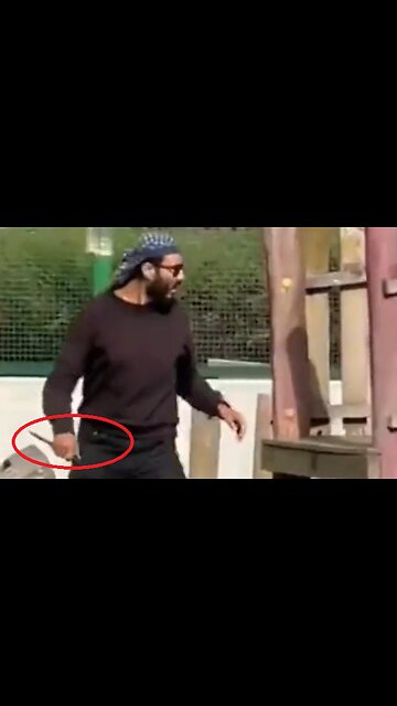 Joven inmigrante "refugiado" árabe apuñalando a bebés europeos en Annecy (Francia)