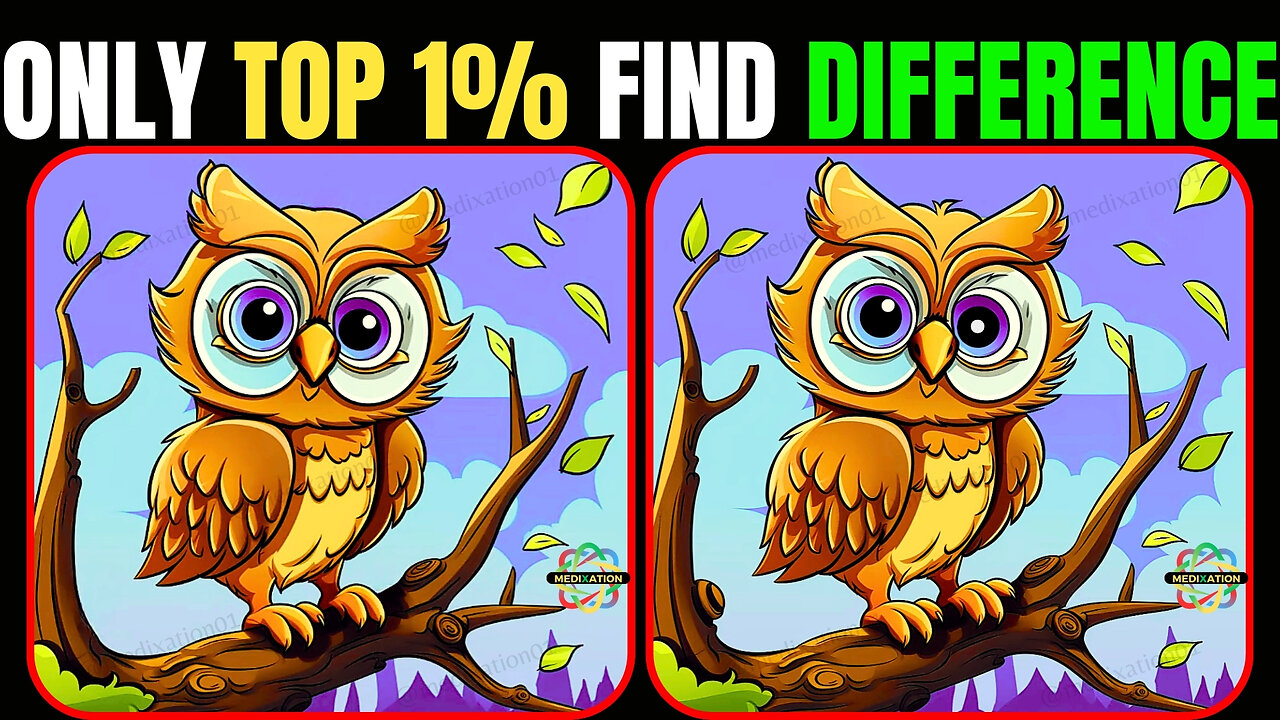 Spot The Difference : Can You Find All[ Find The Difference #41]