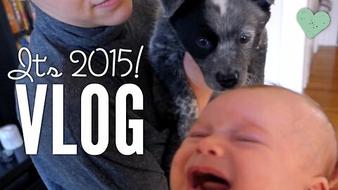 Babies, Puppies and other Updates [VLOG]