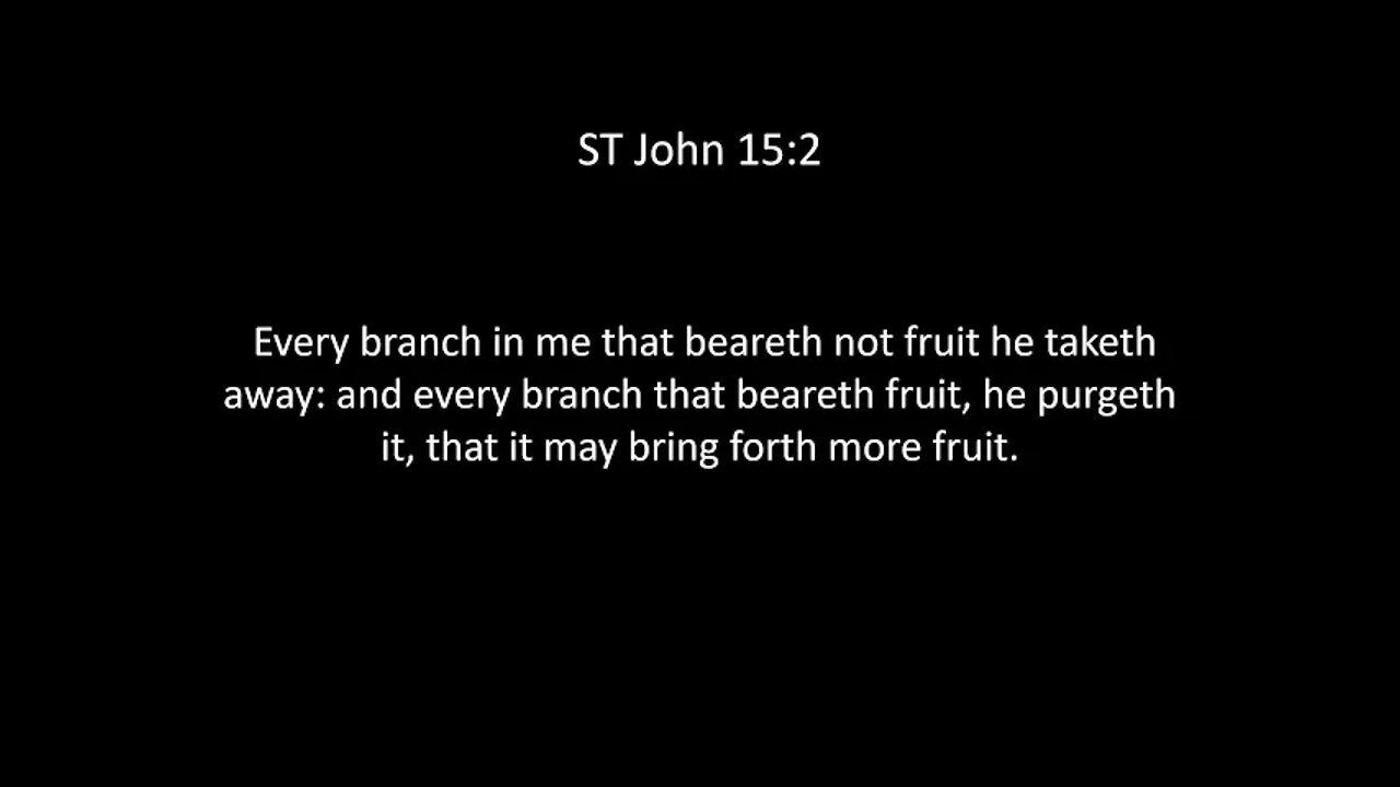 ST John Chapter 15