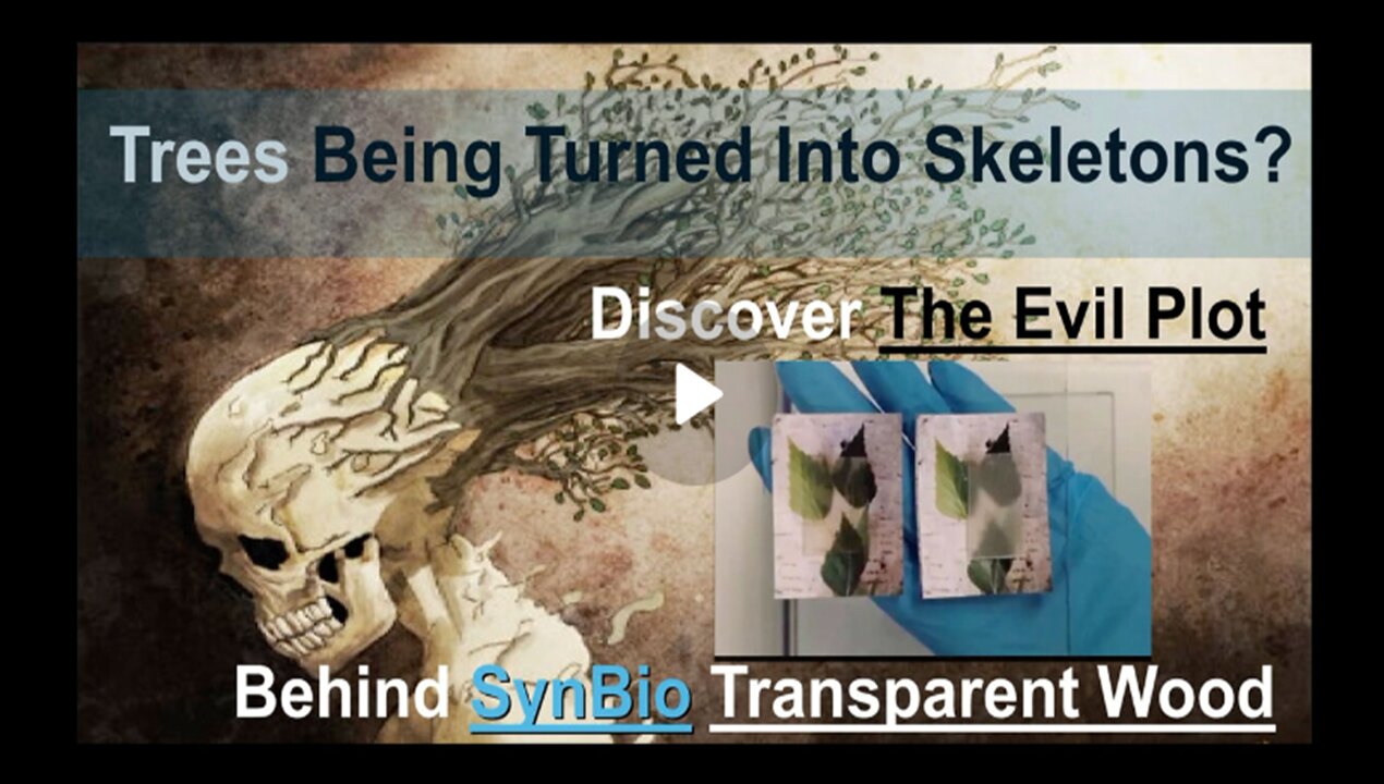 Trees Being Turned Into Skeletons - Discover the Evil Plot