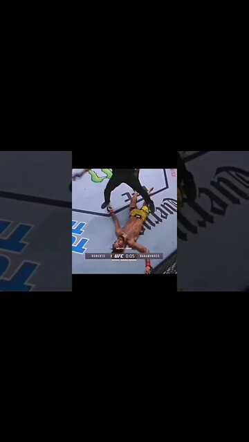 Chute Nocaute Brutal #mma #ufc #shorts