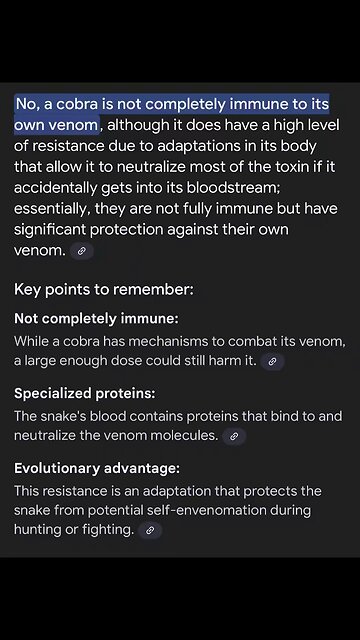 🐍⚕️✝️🌋