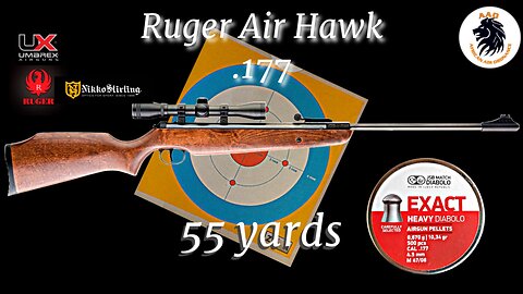 Ruger Air Hawk .177 Takes on Challenge: Shooting JSB 10.34gn at 55 Yards