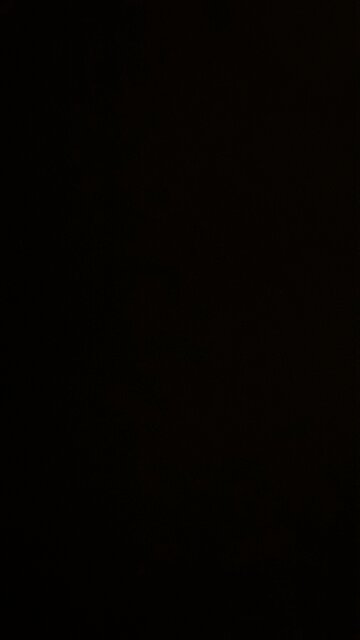 Government efficiency