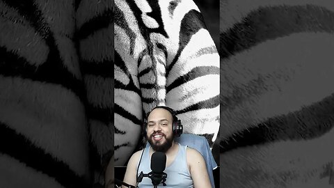 Wait For Zebra🤣😂🤣 #shorts #short