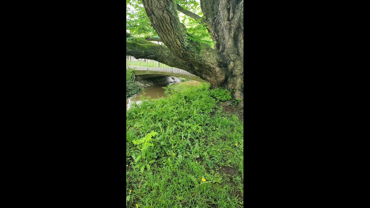 Typical Sunday Walk in Germany