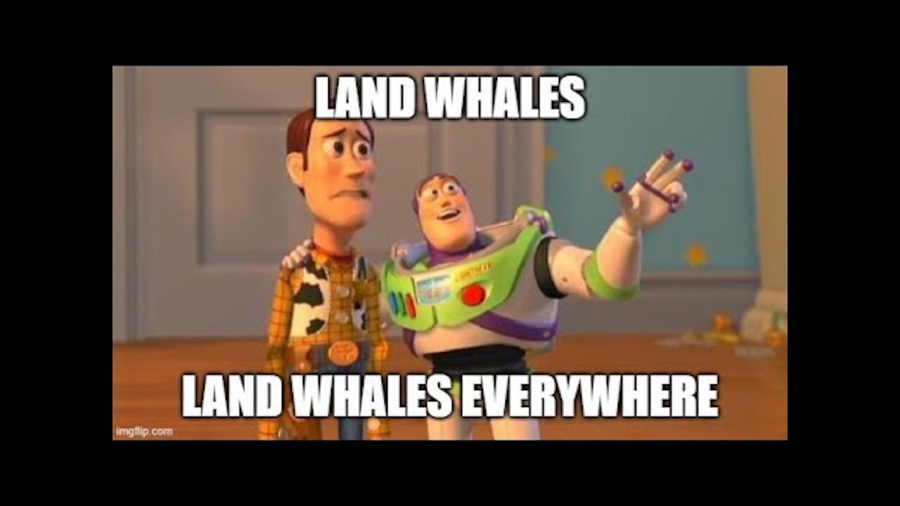 Blackpill Land Whale Acceptance and Promotion