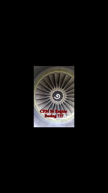 CFM 56 Engine on Boeing 737NG